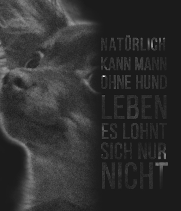 history image